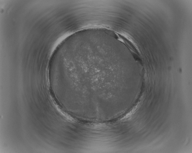 X0000076311030200610161613