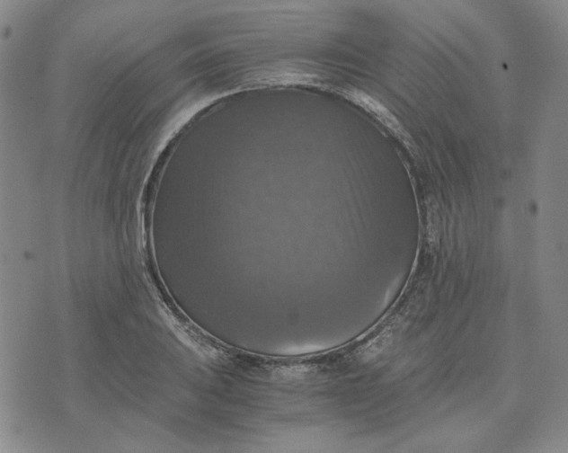 X0000076311031200610161613