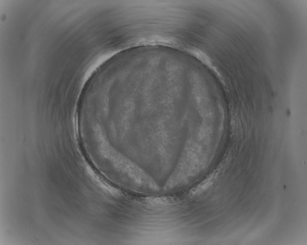 X0000076311032200610161613