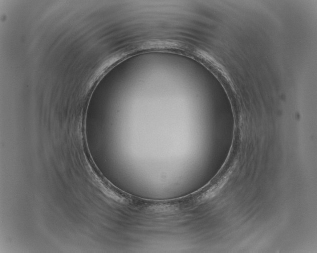 X0000076311033200610161613