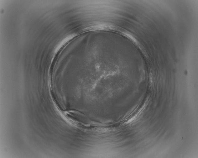 X0000076311034200610161613