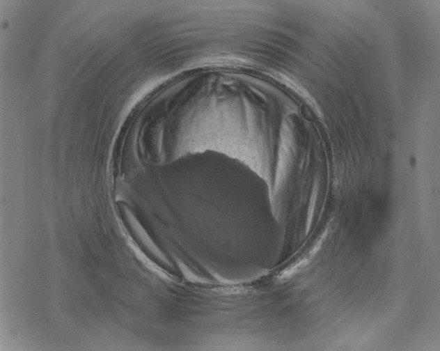 X0000076311037200610161614