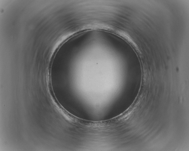 X0000076311040200610161614