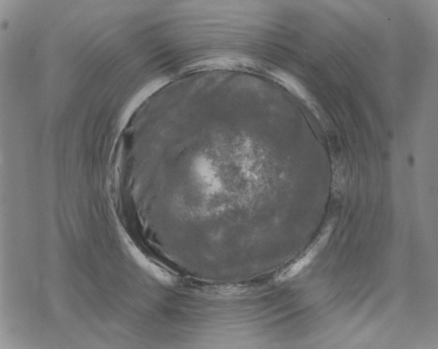 X0000076311042200610161614