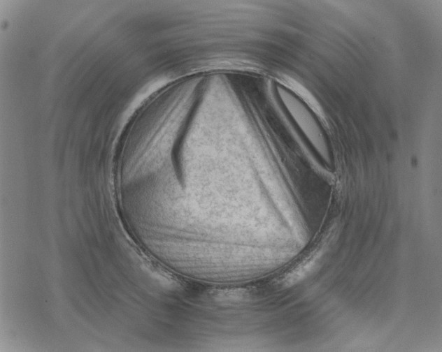 X0000076311043200610161614