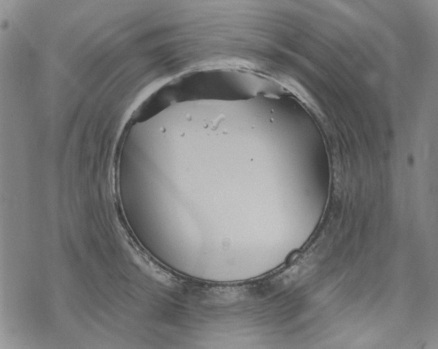 X0000076311044200610161614