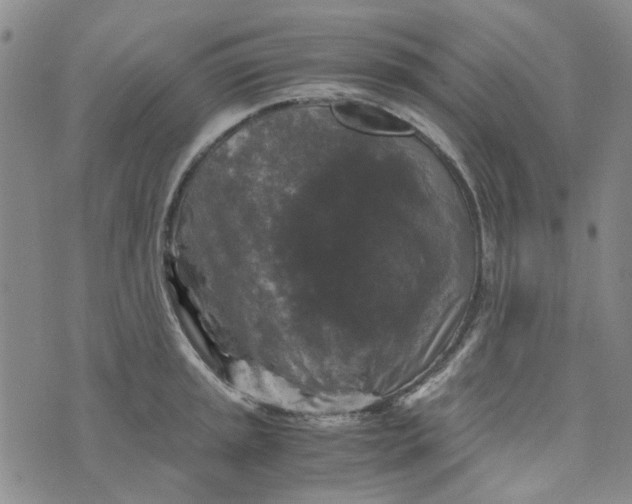 X0000076311045200610161614