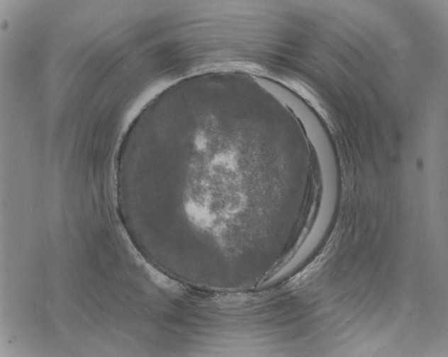 X0000076311046200610161614