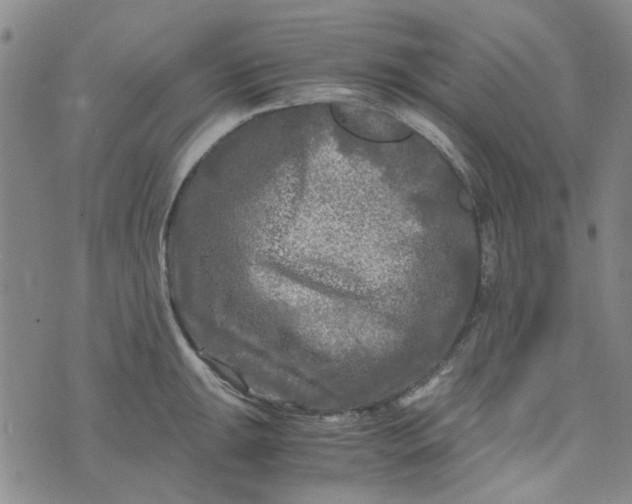 X0000076311047200610161614