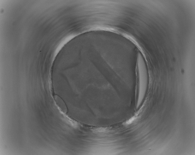 X0000076311048200610161614