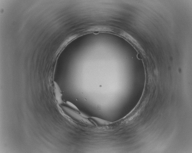 X0000076311049200610161614