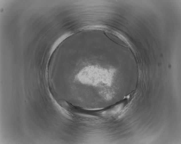 X0000076311050200610161614