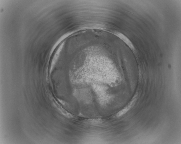 X0000076311052200610161614