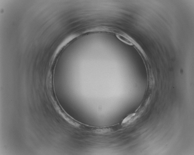 X0000076311053200610161614