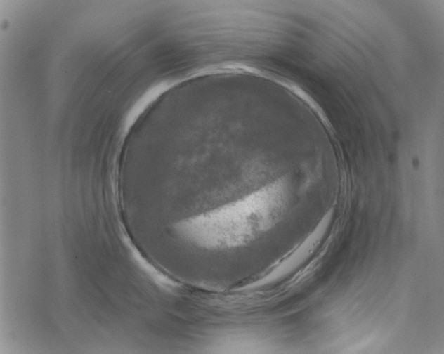 X0000076311054200610161614