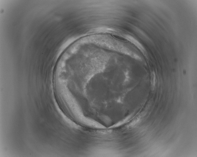 X0000076311055200610161614