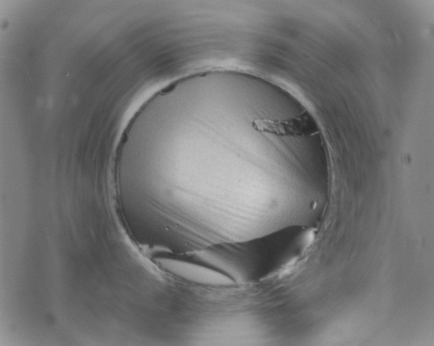 X0000076311056200610161614