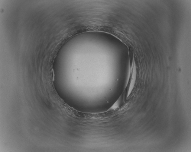 X0000076311057200610161613