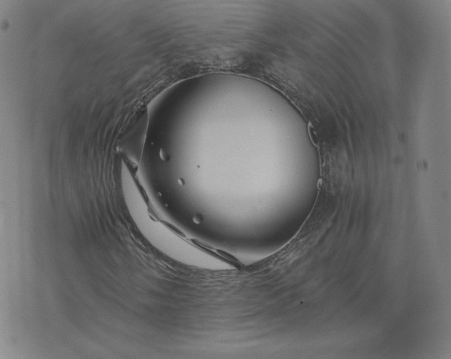 X0000076311058200610161613