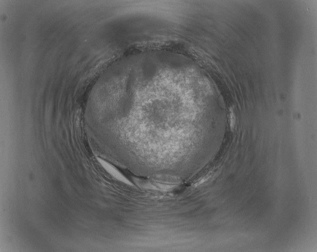 X0000076311059200610161613