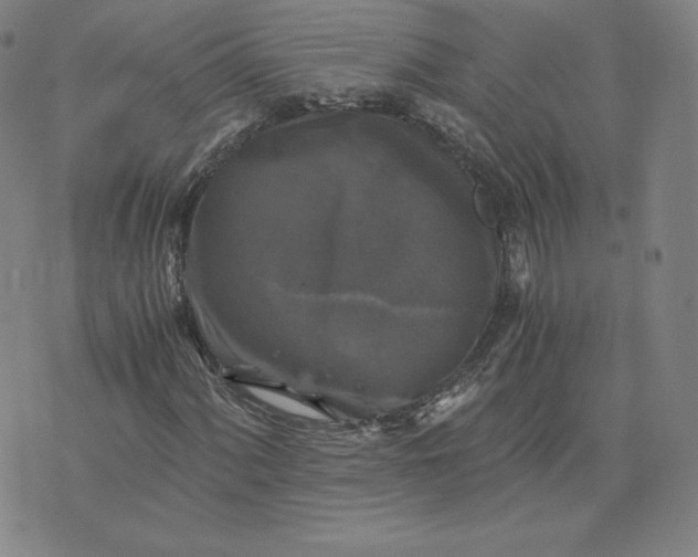 X0000076311060200610161613