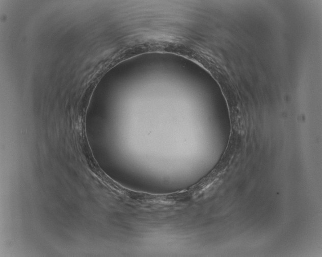 X0000076311061200610161613