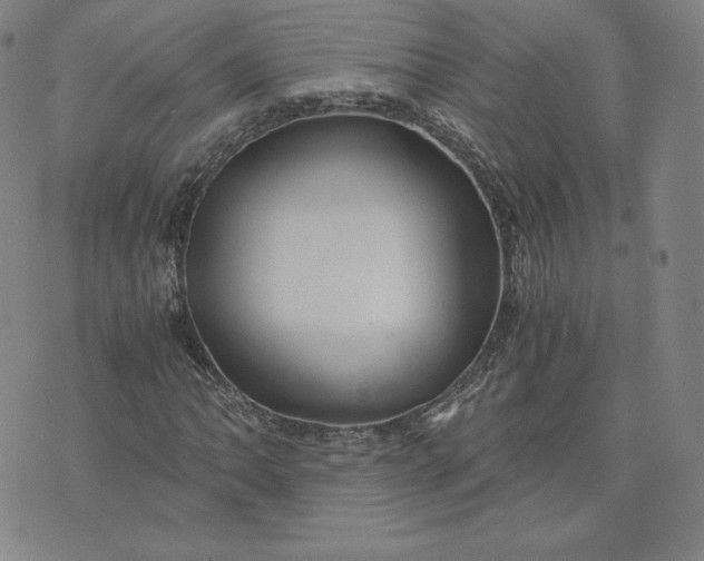 X0000076311062200610161613