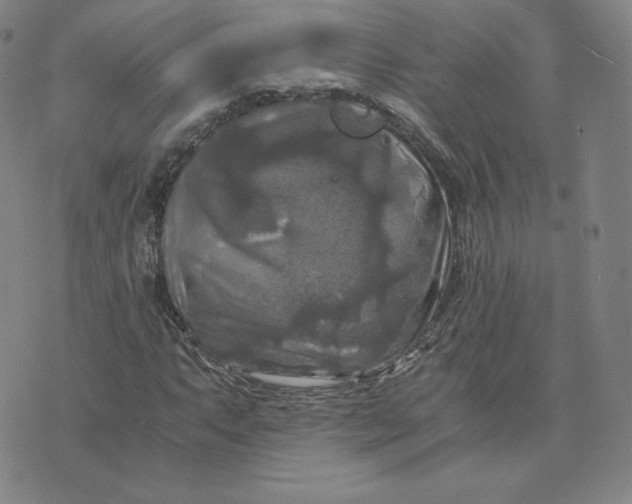 X0000076311063200610161613