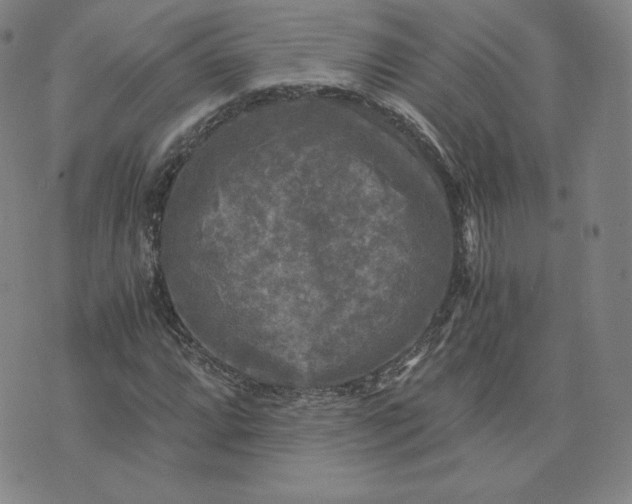 X0000076311064200610161613