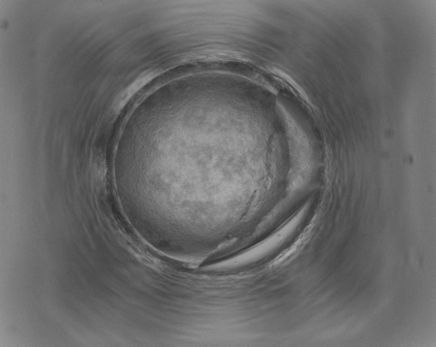 X0000076311065200610161613