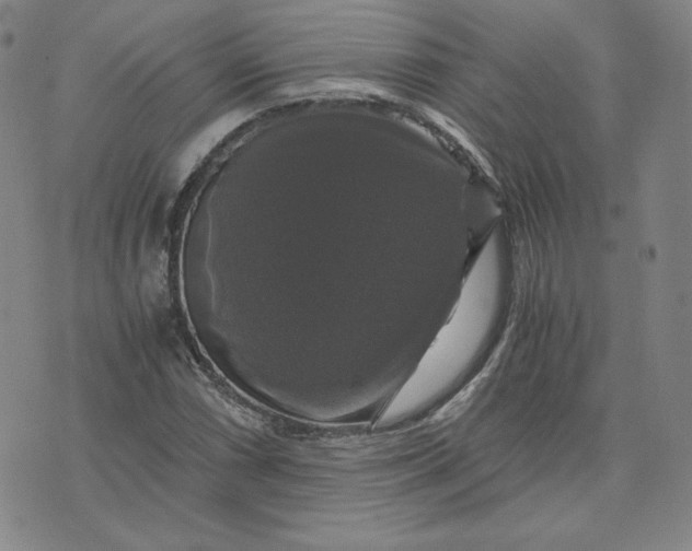 X0000076311066200610161613