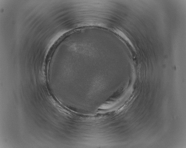 X0000076311068200610161613