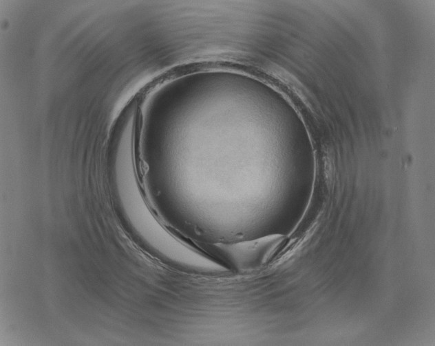 X0000076311069200610161613