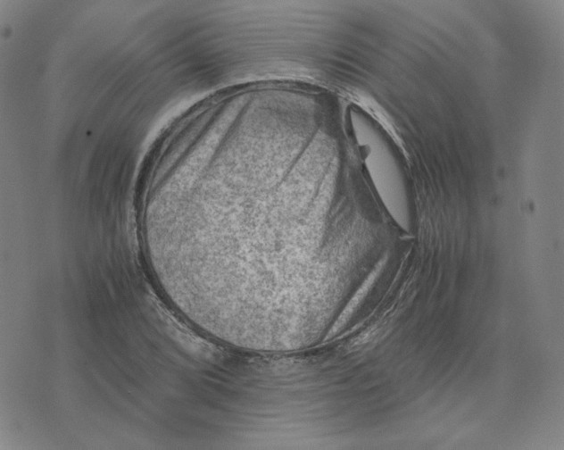 X0000076311072200610161613