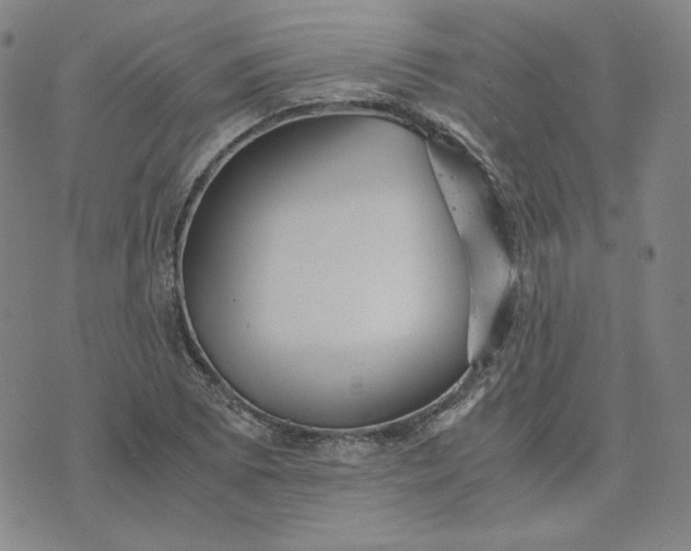 X0000076311073200610161613