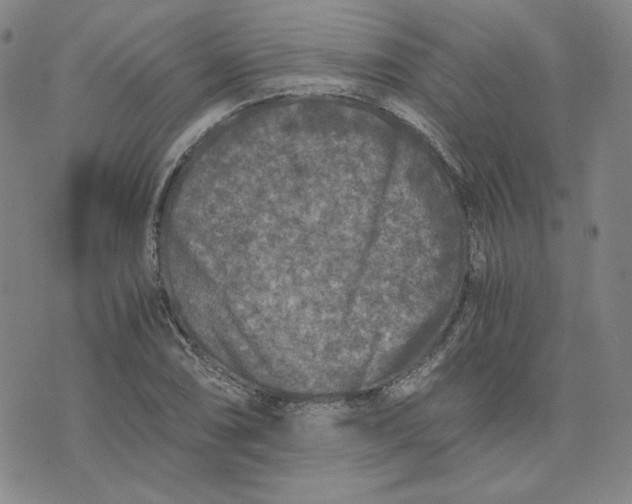 X0000076311074200610161613