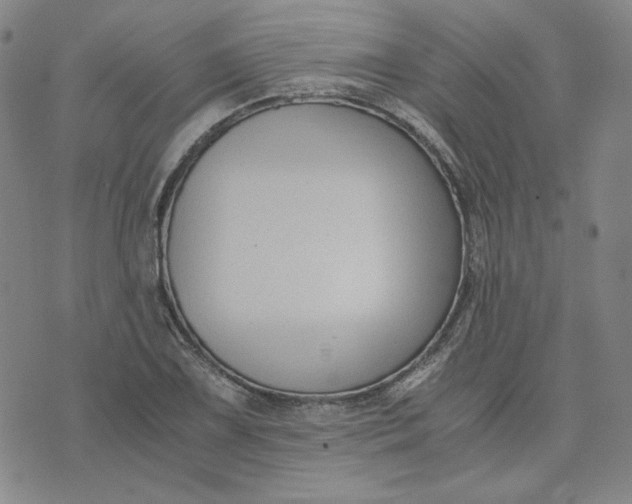 X0000076311075200610161613