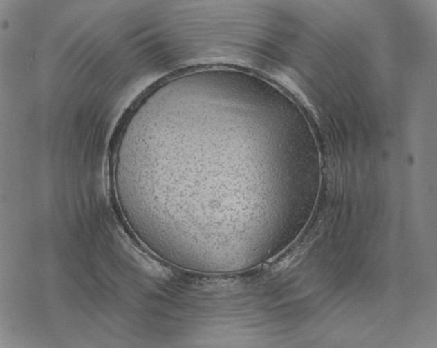 X0000076311076200610161613