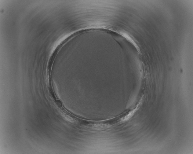 X0000076311077200610161613