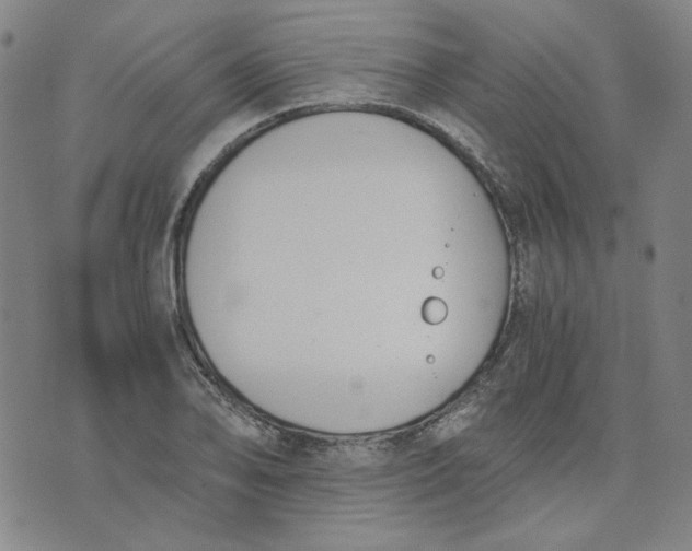 X0000076311078200610161613