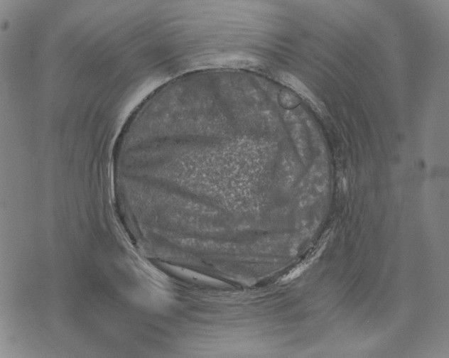 X0000076311079200610161613