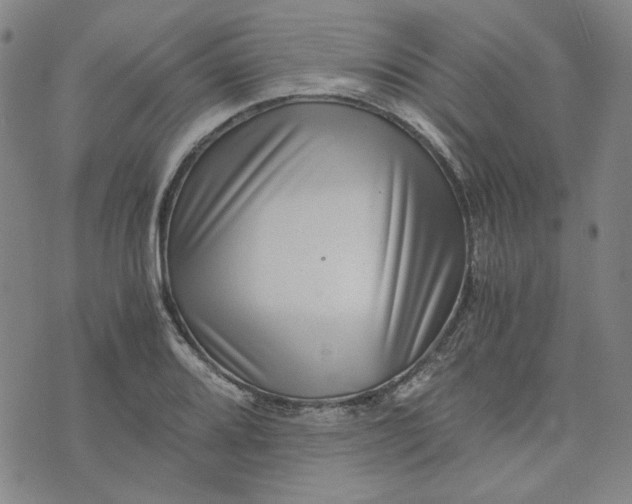 X0000076311080200610161613