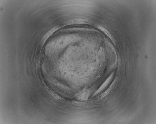 X0000076311081200610161613