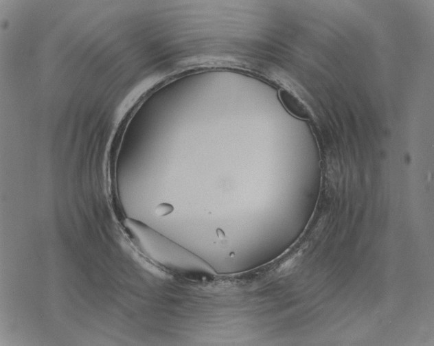 X0000076311082200610161613