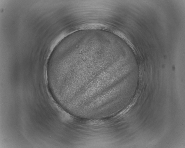 X0000076311083200610161613