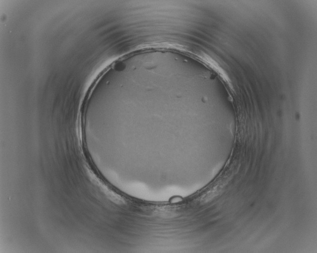 X0000076311084200610161613