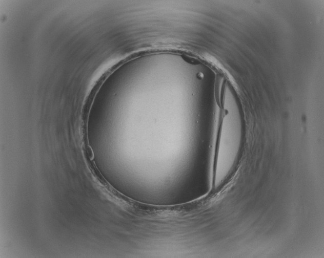 X0000076311085200610161613