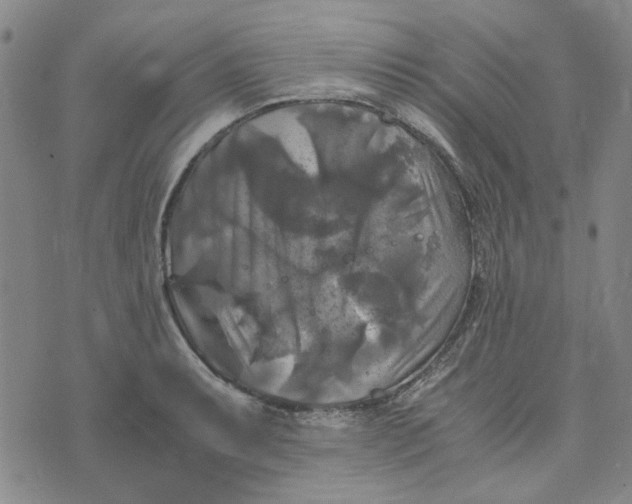 X0000076311087200610161613