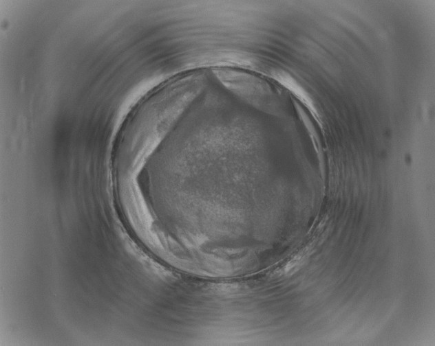 X0000076311088200610161613