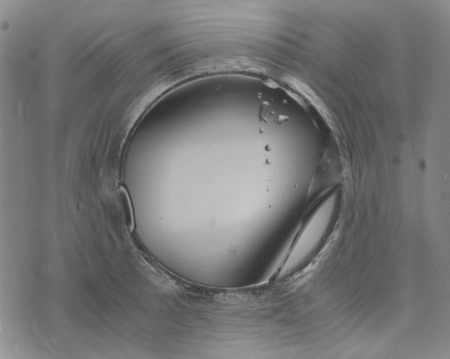 X0000076311089200610161613